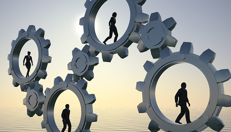 السلوك التنظيمي