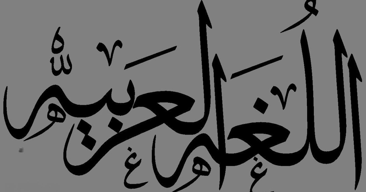 انواع البدل