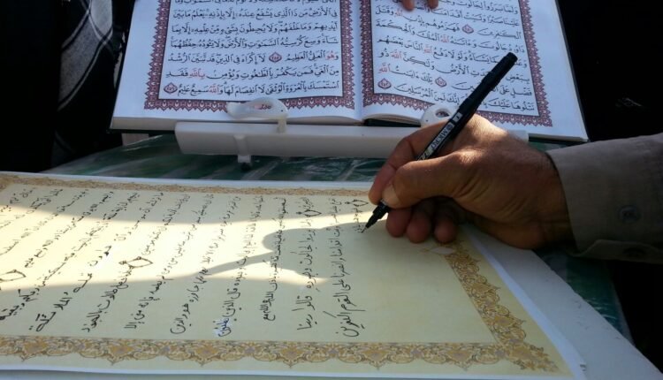 أنواع لا في القرآن