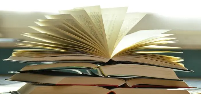 مرفوعات الأسماء