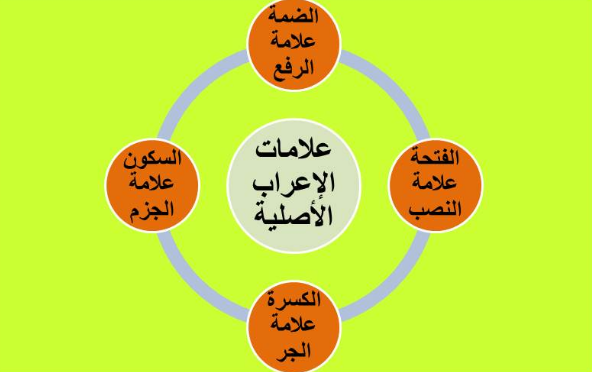 علامات الإعراب الأصلية والفرعية