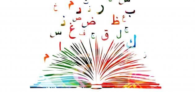 أكثر الدول العربية اتقانا للغة العربية