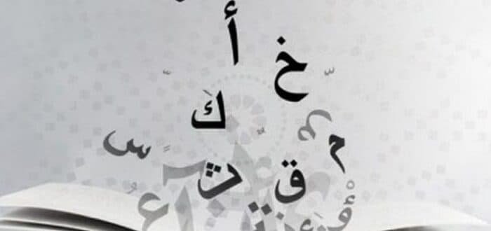 أنواع الحقول الدلالية