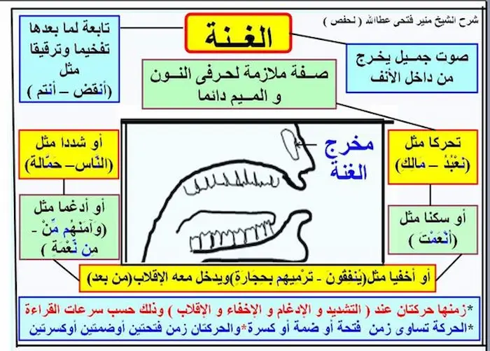 العلاقة بين الغنة والتشديد في علم الأصوات