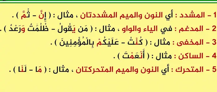 أقسام النون والميم المشددتين