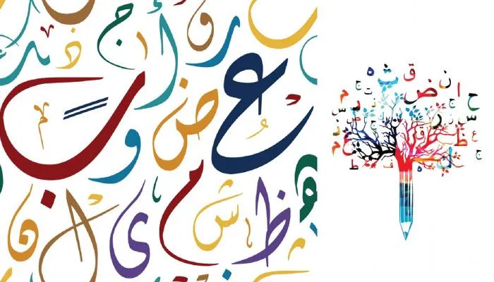 الضمائر في الجملة الفعلية