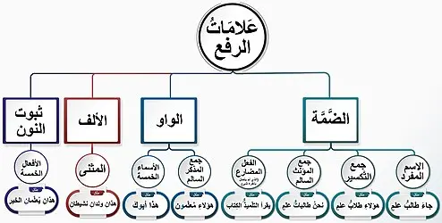 علامات الرفع والنصب والجر