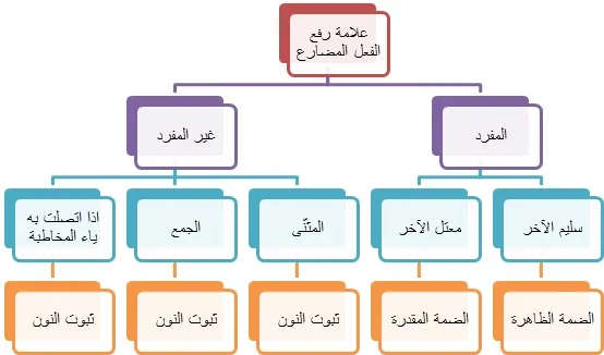 علامات رفع الفعل المضارع