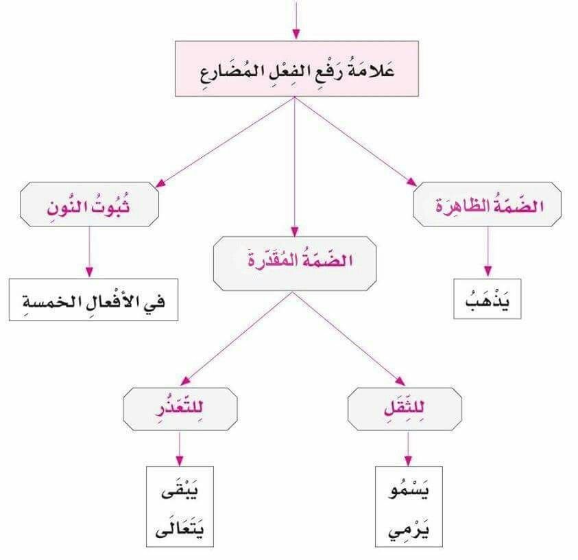 علامات رفع الفعل المضارع