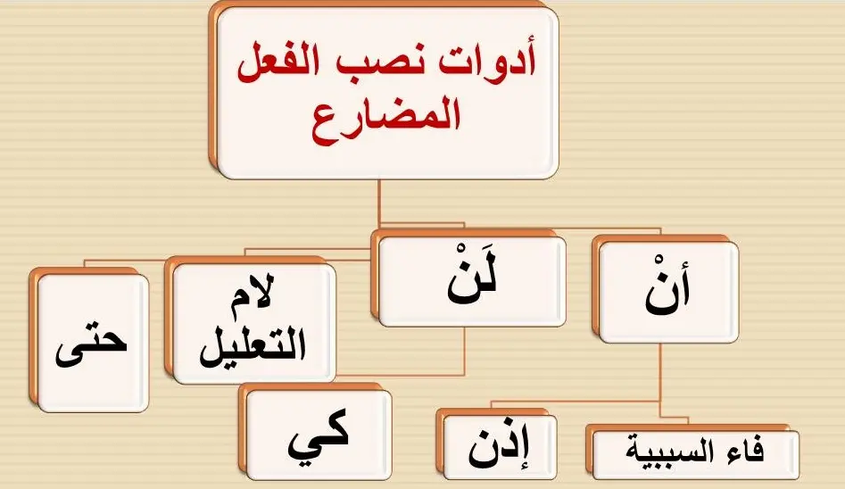 أدوات النصب فعل المضارع